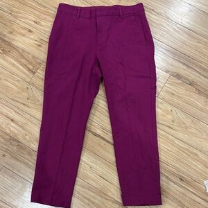 Women’s Magenta Pink Pants